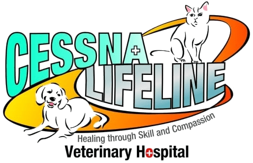 logo sponsor cessna lifeline bengaluru second chance sanctuary india